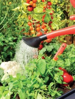 Canopia® By Palram Plant Inn™ Raised Bed Greenhouse, 4' X 4' -Garden Supply Store 8588308 06V tif