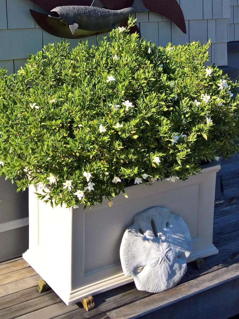 Fairfield Self-Watering Patio Planters, 20” X 36” 3 Fairfield Self-Watering Patio Planters, 20” X 36” - Image 3