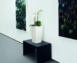 Lechuza® Cubico Color Tall Self-Watering Planters -Garden Supply Store 8589485 03V tif