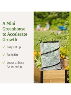 Pop-Up Tomato Accelerator -Garden Supply Store 8589749 feature 2