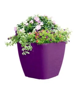Viva Square Self-Watering Rolling Planter, 17.5" Diameter -Garden Supply Store 8589778PR 6126 tif
