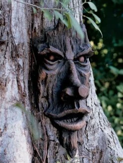 Friendly Ent Tree Face