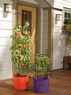 Gardener's Best® Tomato Grow Bag Set 7 Gardener's Best® Tomato Grow Bag Set -Garden Supply Store 8590013 170 tif