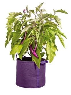 Gardener's Best® Universal Grow Bag 10 Gardener's Best® Universal Grow Bag -Garden Supply Store 8590024PR 214 tif