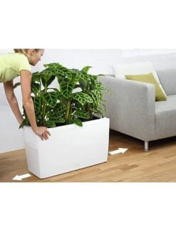 Lechuza® Cararo Rectangular Indoor Planter With Casters 8 Lechuza® Cararo Rectangular Indoor Planter With Casters -Garden Supply Store 8590295 03v