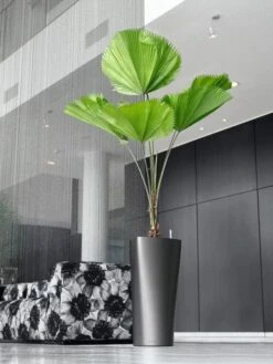 Lechuza® Delta Premium Self-Watering Planters 11 Lechuza® Delta Premium Self-Watering Planters -Garden Supply Store 8590299 02V tif