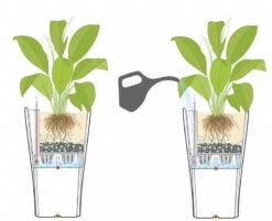 Lechuza® Delta Premium Self-Watering Planters 9 Lechuza® Delta Premium Self-Watering Planters -Garden Supply Store 8590299 07V tif