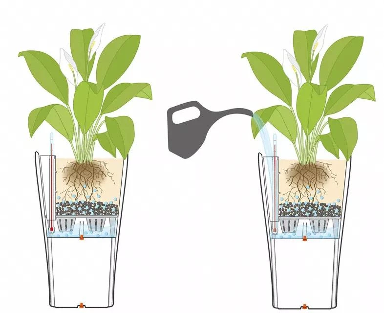 Lechuza® Delta Premium Self-Watering Planters 4 Lechuza® Delta Premium Self-Watering Planters - Image 4