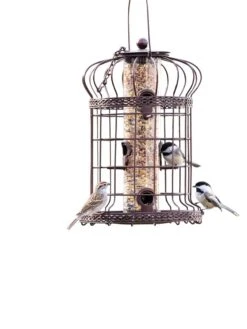 Edwardian Bird Feeder 5 Edwardian Bird Feeder -Garden Supply Store 8590897 200151 tif