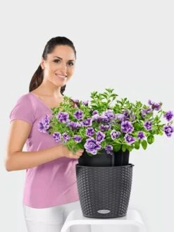 Lechuza® Nido Cottage Wicker Hanging Planter -Garden Supply Store 8591154GT 006V tif