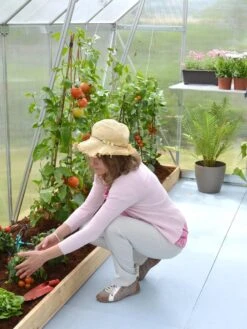 Canopia® By Palram Essence™ Greenhouse, 8' X 12' -Garden Supply Store 8591356 04V tif