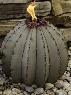 Desert Steel Golden Barrel Cactus Torches -Garden Supply Store 8591454 01V tif