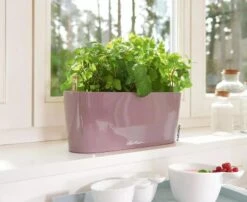 Lechuza® Delta Self-Watering Windowsill Planters -Garden Supply Store 8592361 01V tif