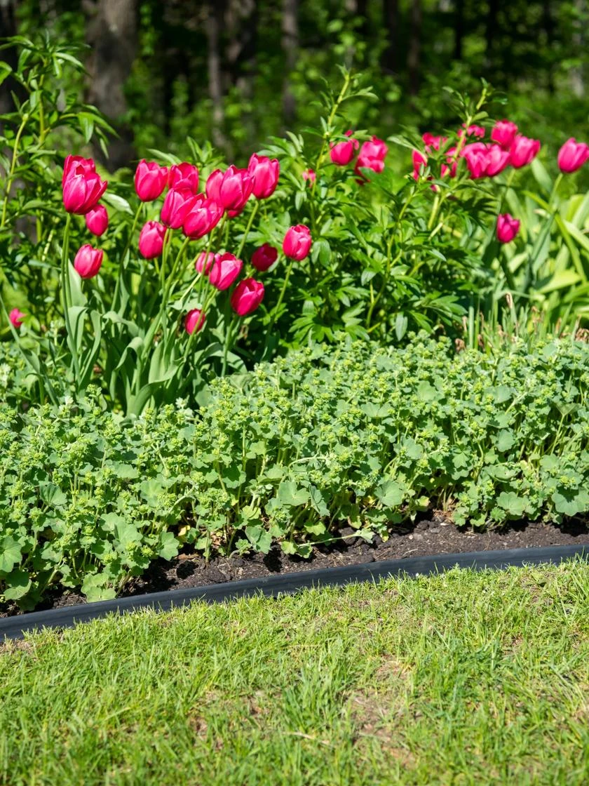 EasyFlex™ No Dig Edging, 50' 2 EasyFlex™ No Dig Edging, 50' - Image 2