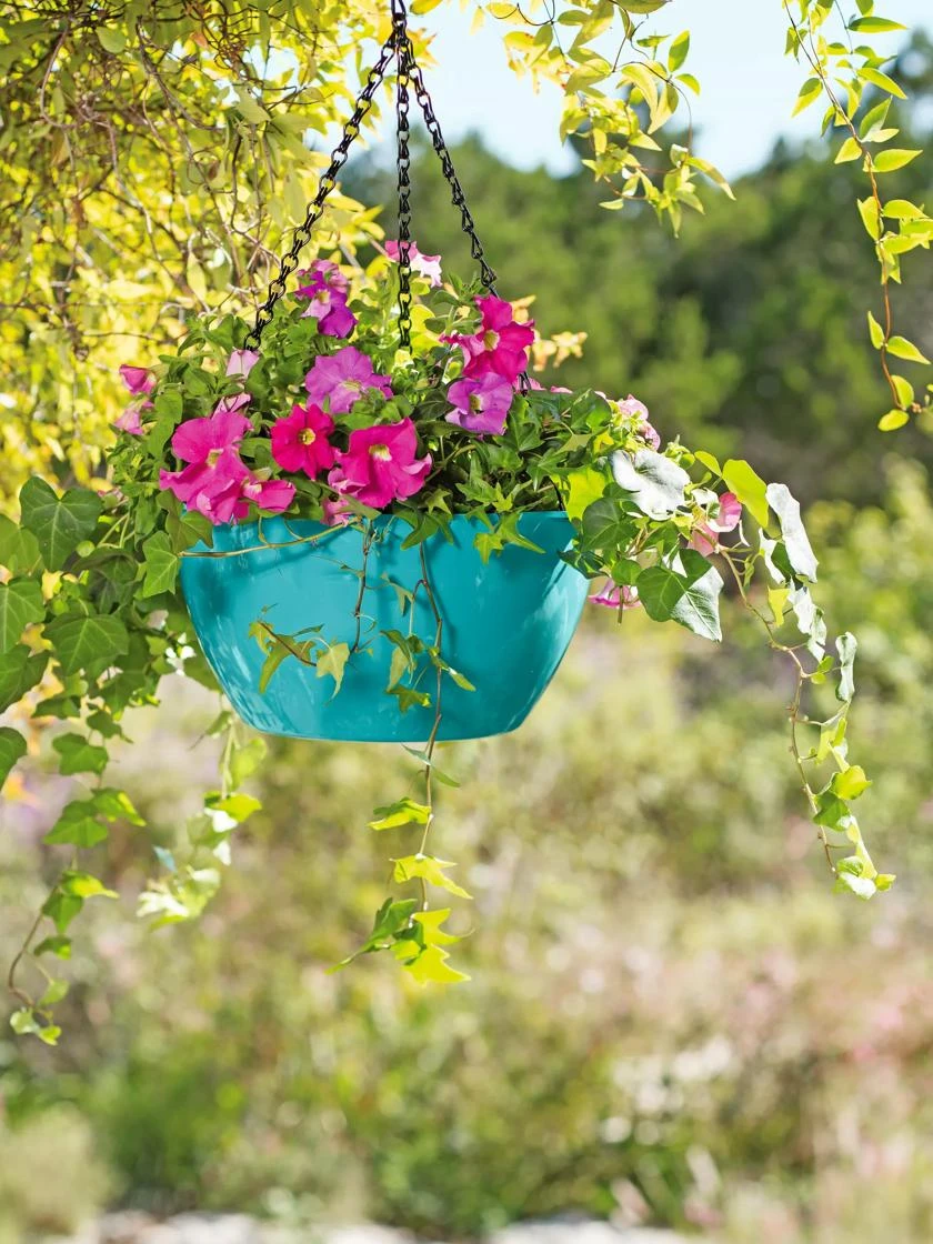 Viva Self-Watering Hanging Basket, 11" Diameter 2 Viva Self-Watering Hanging Basket, 11" Diameter - Image 2