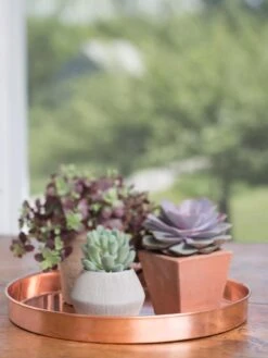 Large Round Copper Plant Tray, 14" 11 Large Round Copper Plant Tray, 14" -Garden Supply Store 8593531 4518 tif