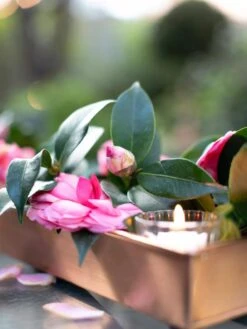 Rectangular Copper Plant Tray, 18"x4" 7 Rectangular Copper Plant Tray, 18"x4" -Garden Supply Store 8593532 02IN tif