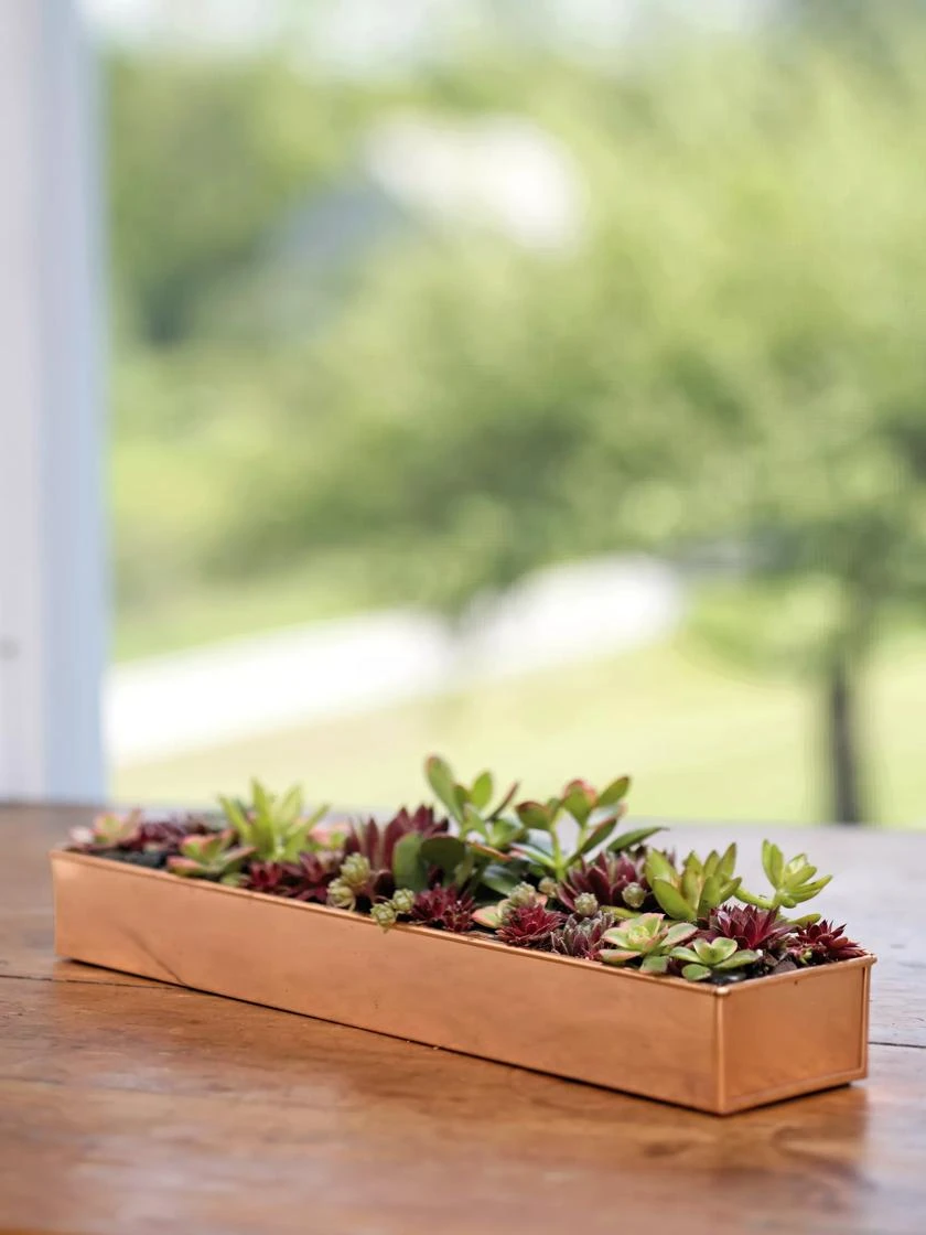 Rectangular Copper Plant Tray, 18"x4" 1 Rectangular Copper Plant Tray, 18"x4"