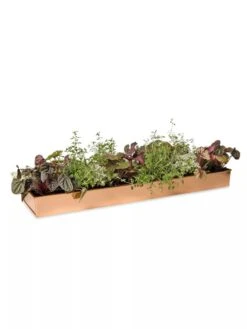 Rectangular Copper Plant Tray, 24" X 5" 9 Rectangular Copper Plant Tray, 24" X 5" -Garden Supply Store 8593533 2878 tif