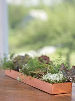 Rectangular Copper Plant Tray, 24" X 5" 7 Rectangular Copper Plant Tray, 24" X 5" -Garden Supply Store 8593533 4626 tif