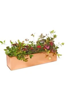Tall Rectangular Copper Plant Tray, 18" X 5" X 4" -Garden Supply Store 8593534 2899 tif