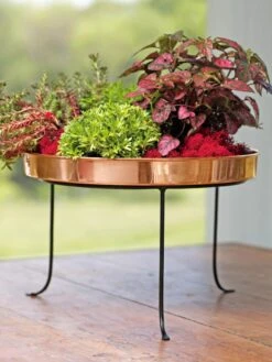Large Round Copper Plant Tray, 14" 12 Large Round Copper Plant Tray, 14" -Garden Supply Store 8593567 4636 tif