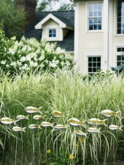 Fish Out Of Water Garden Stakes, Set Of 5 -Garden Supply Store 8593672 9124 tif