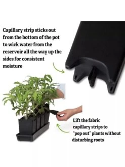 Pop-Out Pots, Set Of 4 -Garden Supply Store 8593943 3