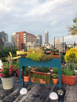 Demeter Mobile Planter Cart -Garden Supply Store 8594148 01CUST tif