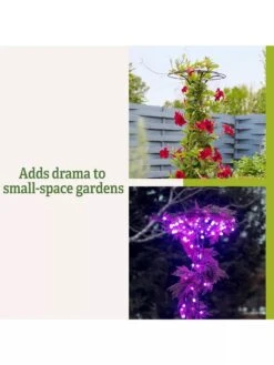 Essex Tuteur, 63" -Garden Supply Store 8594162 3