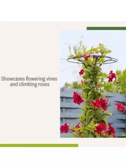 Essex Tuteur, 63" -Garden Supply Store 8594162 4