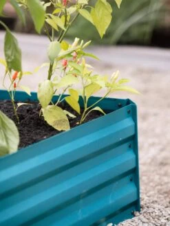 Demeter Corrugated Metal Raised Bed, 34" X 34" 13 Demeter Corrugated Metal Raised Bed, 34" X 34" -Garden Supply Store 8594183 470 tif