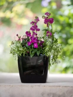 Viva Square Self-Watering Planter, 7" Diameter 11 Viva Square Self-Watering Planter, 7" Diameter -Garden Supply Store 8595223 1107 tif