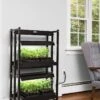 LED SunLite® Compact 2-Tier Garden