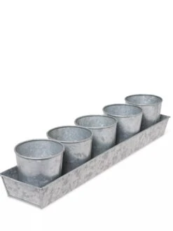 Galvanized Herb Planters With Rectangular Tray 7 Galvanized Herb Planters With Rectangular Tray -Garden Supply Store 8595903 3924 tif