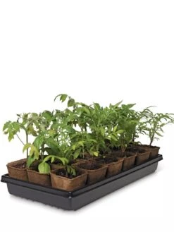 3-1/2” Square Biodegradable Pots & Tray Set 5 3-1/2” Square Biodegradable Pots & Tray Set -Garden Supply Store 8595968 3916 tif