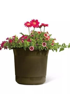 Eezy Gro Self-Watering Planters 10 Eezy Gro Self-Watering Planters -Garden Supply Store 8596427 108 tif