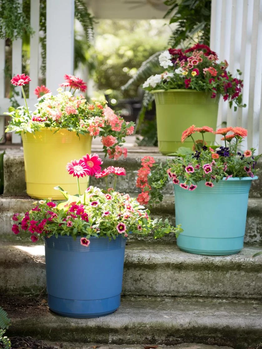 Eezy Gro Self-Watering Planters 5 Eezy Gro Self-Watering Planters - Image 5