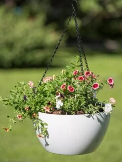 Viva Self-Watering Hanging Basket, 14" Diameter 7 Viva Self-Watering Hanging Basket, 14" Diameter -Garden Supply Store 8596442 0864 tif