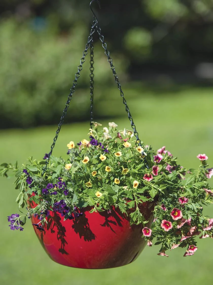 Viva Self-Watering Hanging Basket, 14" Diameter 2 Viva Self-Watering Hanging Basket, 14" Diameter - Image 2