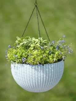 Weave Self-Watering Hanging Basket, 14" 5 Weave Self-Watering Hanging Basket, 14" -Garden Supply Store 8596490 10307 tif