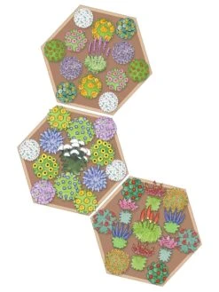 Pollinator Garden Bed -Garden Supply Store 8597000 Hummingbird Plan tif