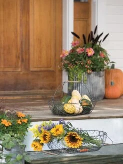 Galvanized Rim Planters -Garden Supply Store 8597379 1625 tif