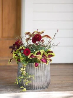 Galvanized Ribbed Planters -Garden Supply Store 8597435 1693 tif