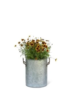 Galvanized Rim Planters -Garden Supply Store 8597442 1705 tif