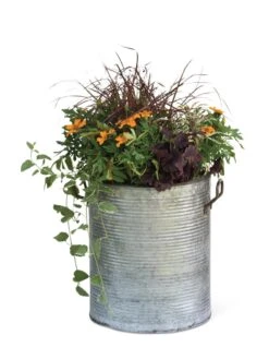 Galvanized Rim Planters -Garden Supply Store 8597443 1704 tif