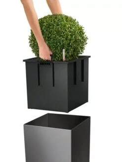 Lechuza® Cube Premium Planters -Garden Supply Store 8597506 04V tif