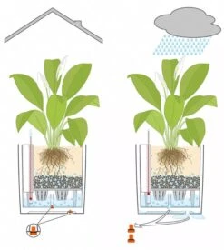 Lechuza® Cube Premium Planters -Garden Supply Store 8597506 05V tif