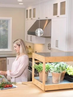 Low Bamboo LED Grow Light Garden -Garden Supply Store 8597720 0816 tif