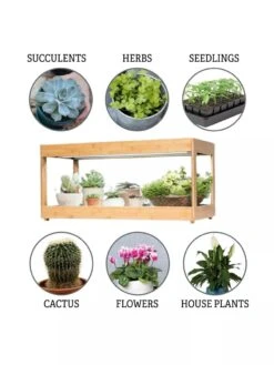 Low Bamboo LED Grow Light Garden -Garden Supply Store 8597720 3